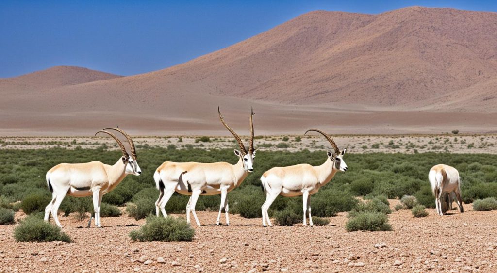 Addax